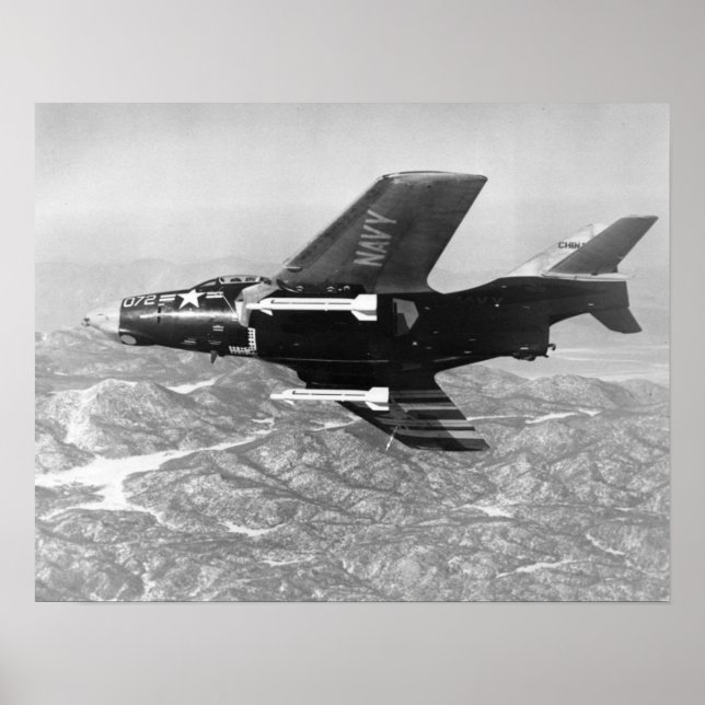 Puma F-9 Poster (Vorne)