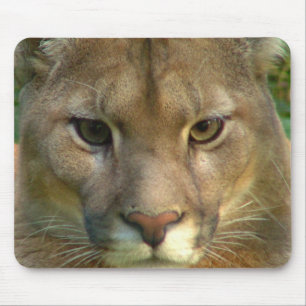 Puma-Gebirgskatzen-Mausunterlage Mousepad
