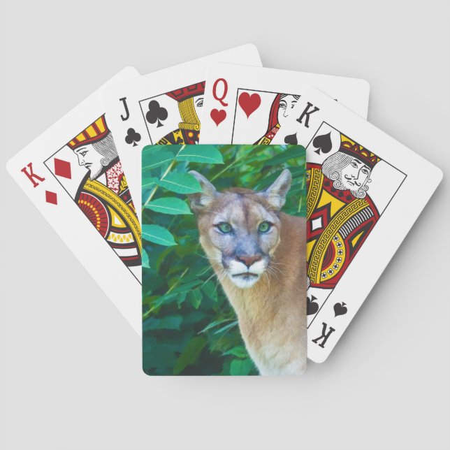 Puma im Dschungel Spielkarten (Rückseite)