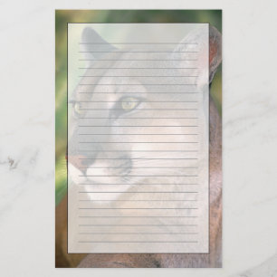Puma, Kalifornien Briefpapier