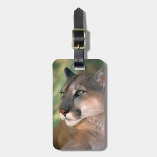Puma, Kalifornien Gepäckanhänger