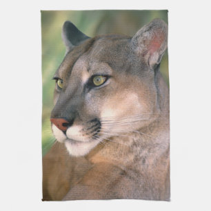 Puma, Kalifornien Handtuch