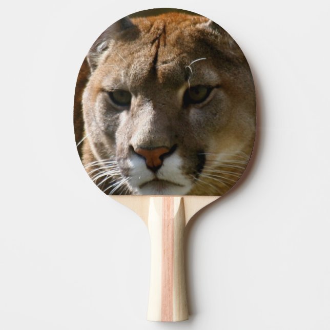 Puma-Katze Tischtennis Schläger (Vorderseite)