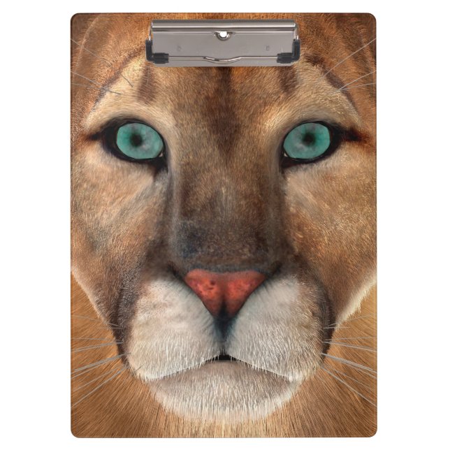 Puma Klemmbrett (Vorderseite)