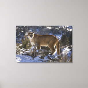 Puma Leinwanddruck