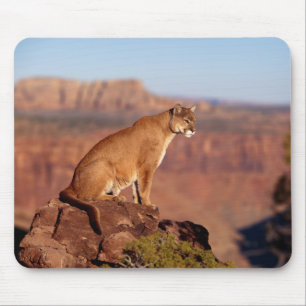 Puma-Mauspad Mousepad