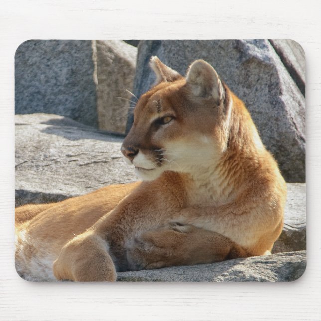 Puma Mousepad (Vorne)