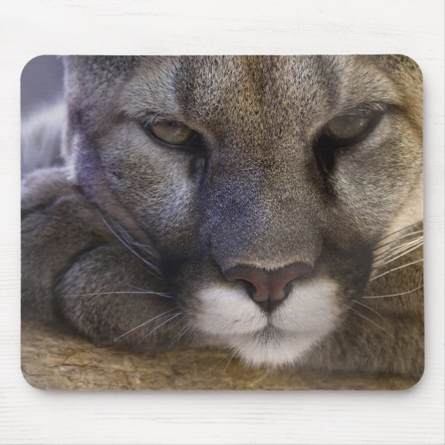 Puma Mousepad (Vorne)