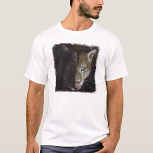 Puma-Nacht T-Shirt