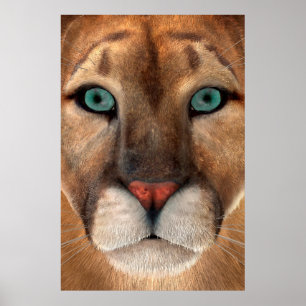 Puma Poster