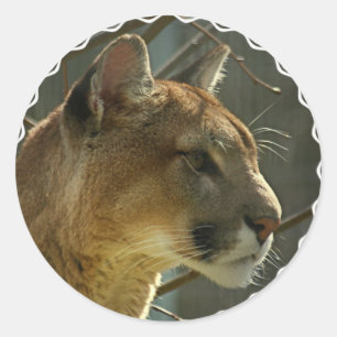 Puma-Puma-Aufkleber Runder Aufkleber