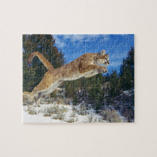 Puma-Spiel-Puzzlespiel