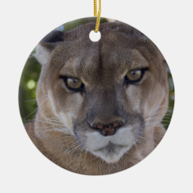 Puma-Sprungs-Verzierung Keramik Ornament (Vorne)