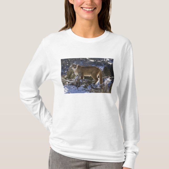 Puma T-Shirt (Vorderseite)