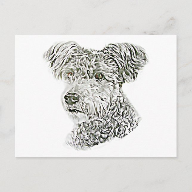 Pumi Postkarte (Vorderseite)