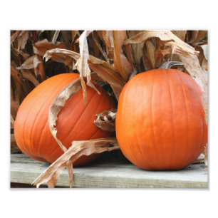 Pumpen und getrocknete Maisstämme Herbst 8x10 Fotodruck