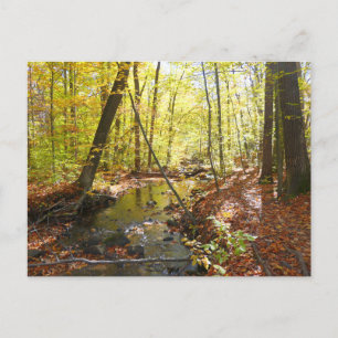Pumpenhausweg im Herbst Postkarte
