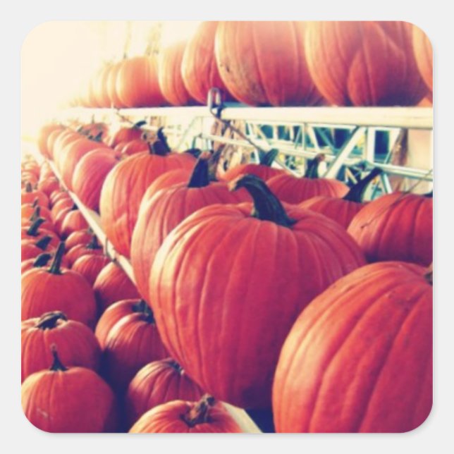 Pumpkettensticker Quadratischer Aufkleber (Vorderseite)