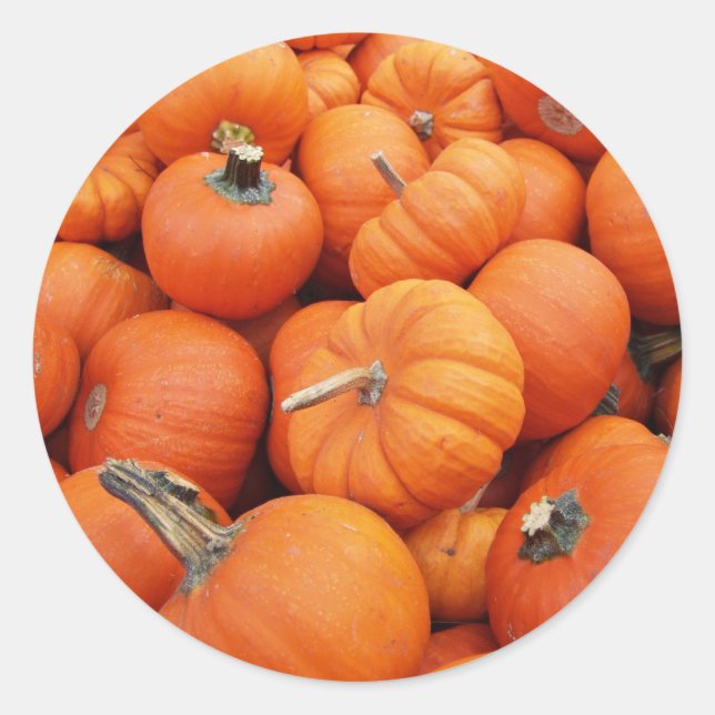 Pumpkettensticker Runder Aufkleber (Vorderseite)