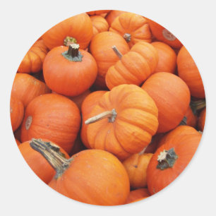 Pumpkettensticker Runder Aufkleber