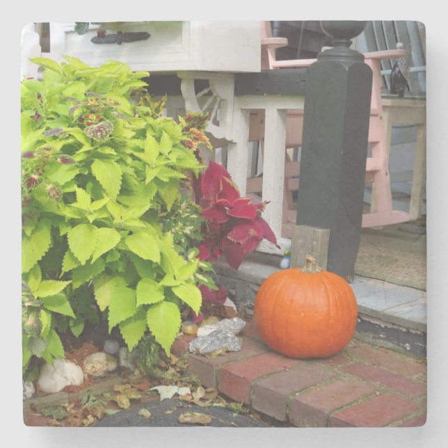 Pumpkin and Coleus - Martha's Vineyard Steinuntersetzer (Vorderseite)