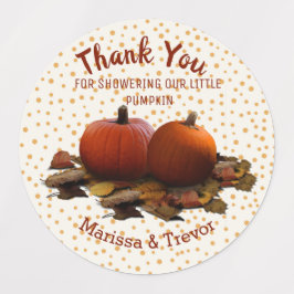 Pumpkin, Babydusche, Gefälligkeitstempel, Kürbis Etiketten