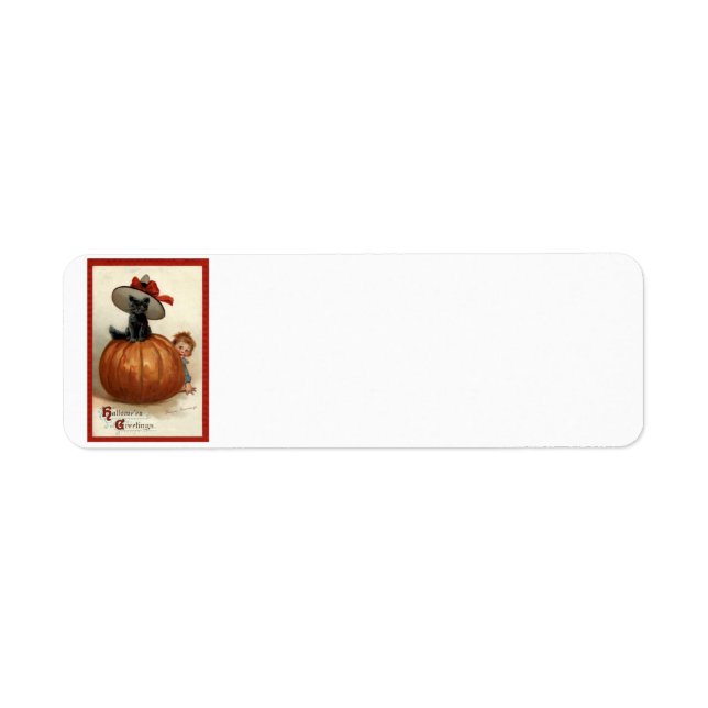 Pumpkin Black Cat Boy Frances Brundage (Vorne)