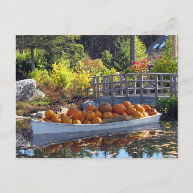 Pumpkin Boat Postcard Postkarte (Vorderseite)