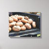 Pumpkin Ernte auf Lieferwagen Truck Fall