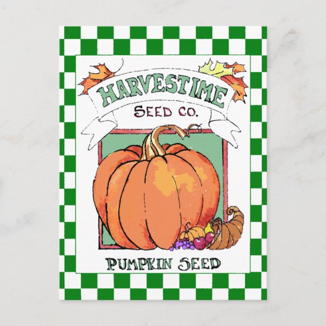 Pumpkin-Fall Ernte Packet Postkarte (Vorderseite)