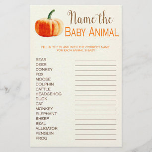 Pumpkin Fall Rustic Baby Baby Shooting Game Flyer