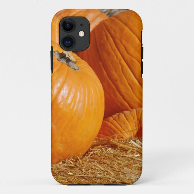 Pumpkin Fall Scene Case-Mate iPhone Hülle (Rückseite)