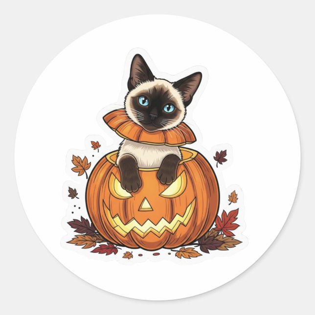 Pumpkin-Flüchtige Blick Siamese - Niedliche Hallow Runder Aufkleber (Vorderseite)
