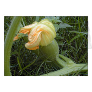 Pumpkin-Formkarte