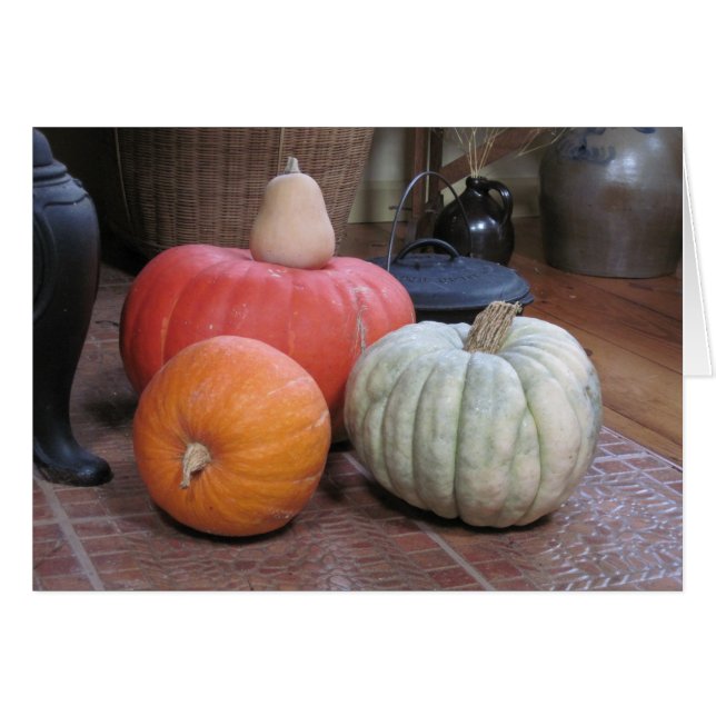 Pumpkin Harvest (Vorderseite (Horizontal))