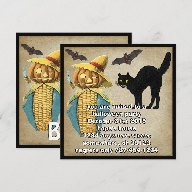 Pumpkin Head Black Cat Bats Halloween Party Invite Einladung (Vorne/Hinten)
