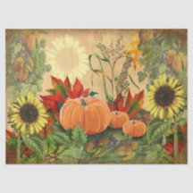 Pumpkin Herbst Sonnenblume