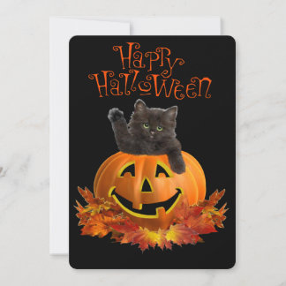 Pumpkin Kitty
