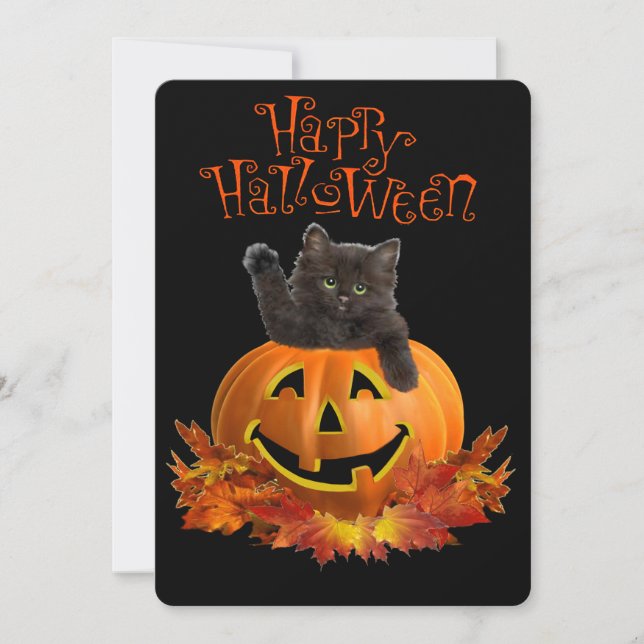 Pumpkin Kitty (Vorderseite)