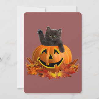 Pumpkin Kitty