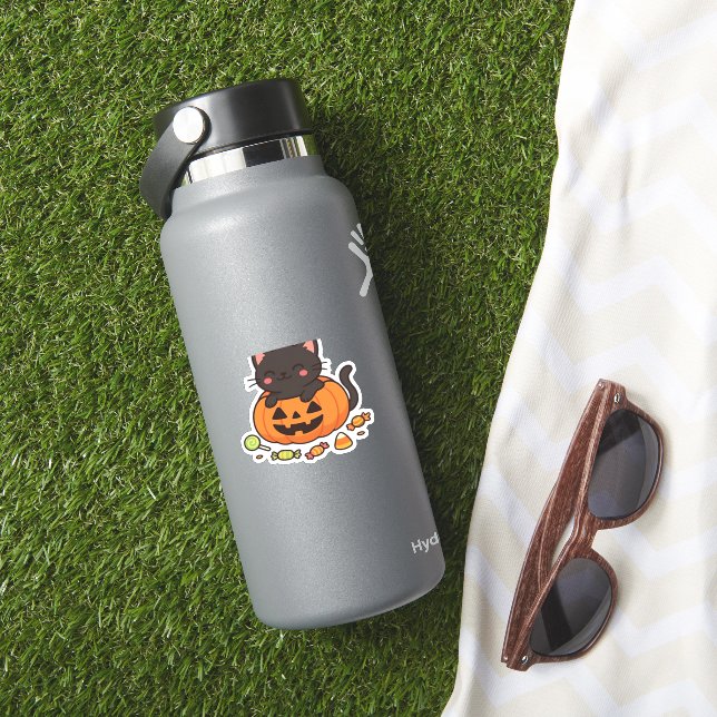 Pumpkin Kitty Parade Essential T - Shirt Aufkleber (HydroFlask Insitu)