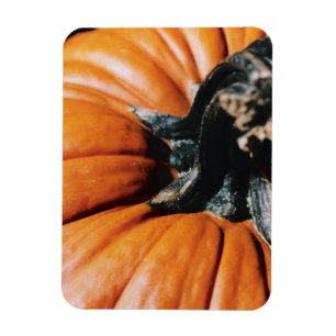 Pumpkin Magnet