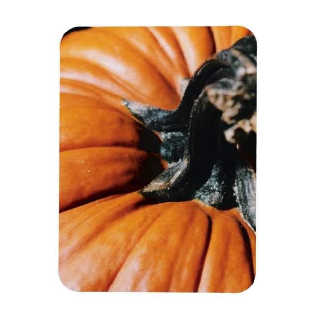Pumpkin Magnet (Vertikal)