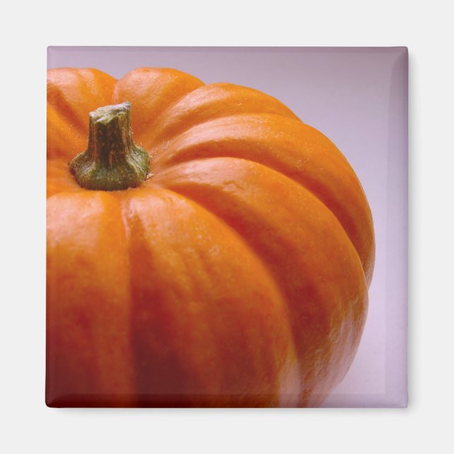 Pumpkin Magnet (Vorne)