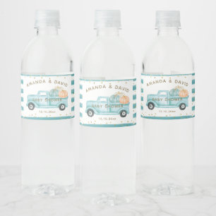 Pumpkin Minimalistisch Modern Fall Babydusche