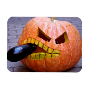 Pumpkin mit Eggplant Magnet