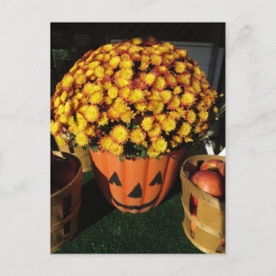 Pumpkin Mum Postkarte