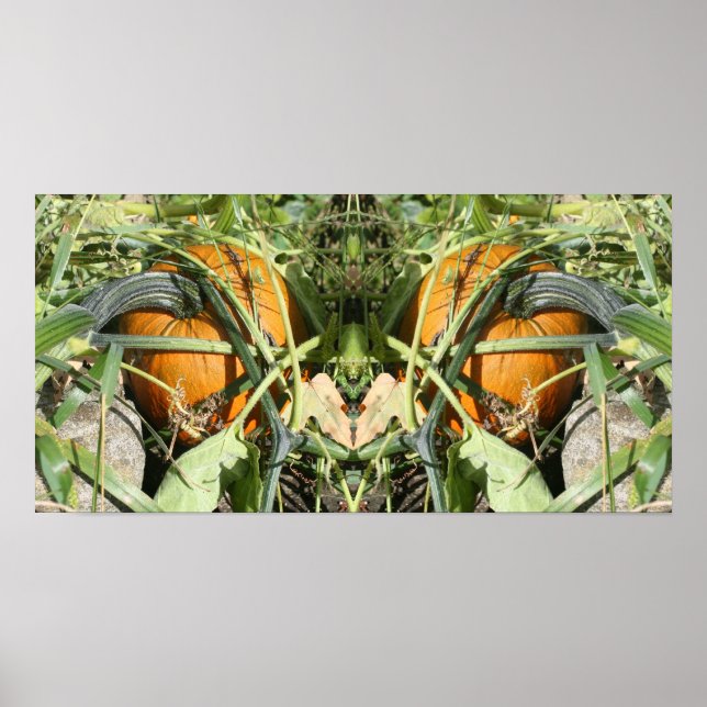 Pumpkin On Vine Fall Mirror Abstrakt Poster (Vorne)