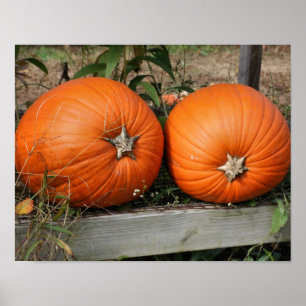 Pumpkin Pair Country Fall Poster