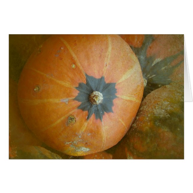 Pumpkin Patch (Vorderseite (Horizontal))